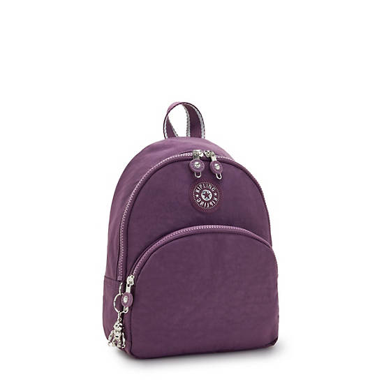 Kipling Paola Small Backpacks Endless Plum | AU 1598SG